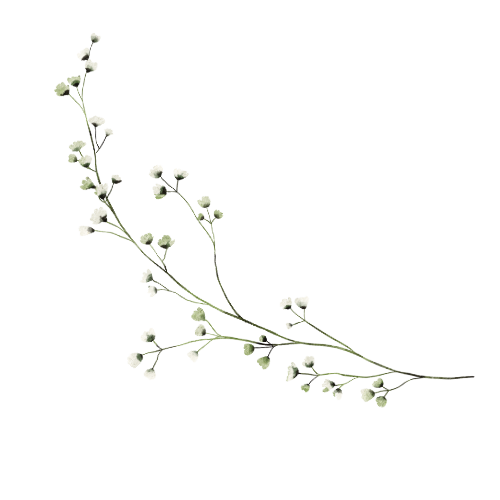 terapia par kołobrzeg