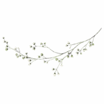 terapia par kołobrzeg