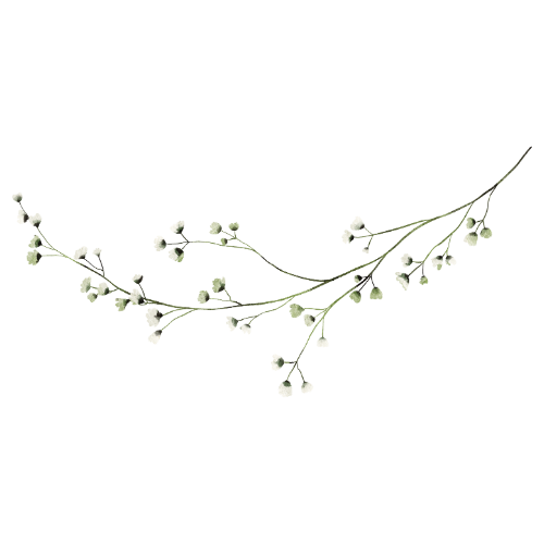 terapia par kołobrzeg