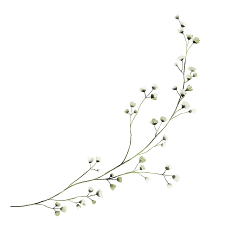 terapia par kołobrzeg